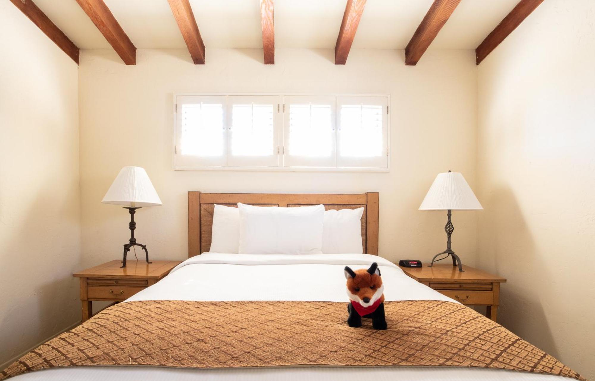 Hotel La Casa del Zorro Borrego Springs Exterior foto